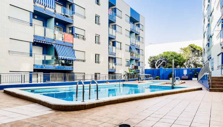 Reventa - Apartamento - Apartamento en el último piso - Torrevieja - Playa de los Locos