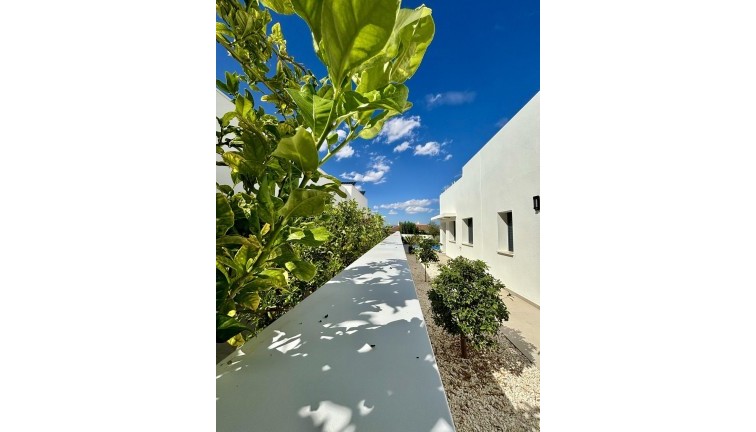 New Build - Chalet - Benijofar