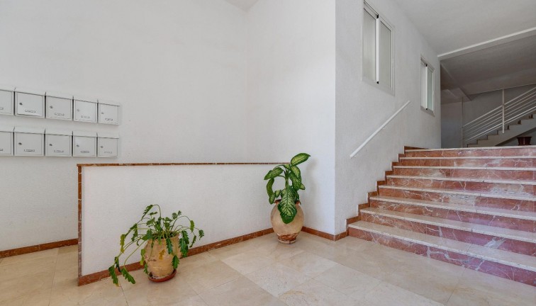 Resale - Apartment - San Pedro del Pinatar