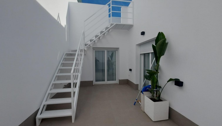 Obra nueva - Chalet - Torre Pacheco - Roldán