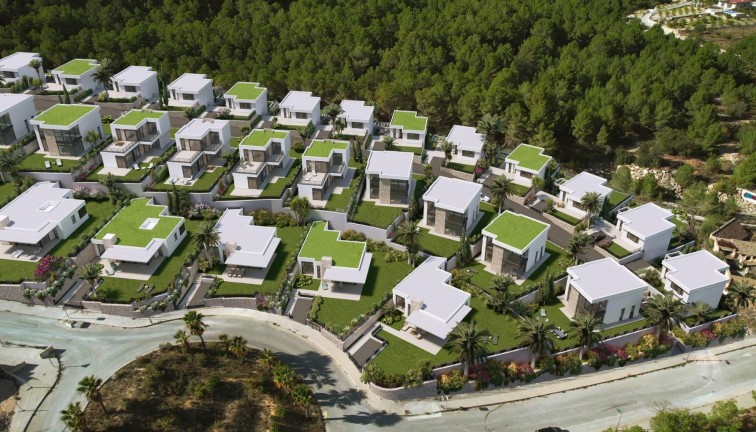 Uudistuotanto - Erillistalo - Polop - Polop Hills