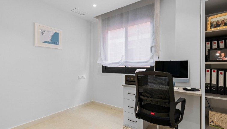 Obra nueva - Chalet - Guardamar del Segura - Els Secans