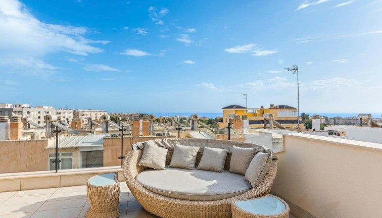 Obra nueva - Chalet - Guardamar del Segura - Els Secans