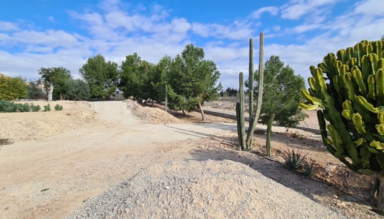 Reventa - Chalet - Orihuela - La Matanza