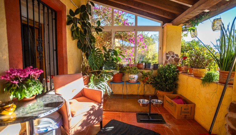 Resale - Commercial - Hondón de las Nieves