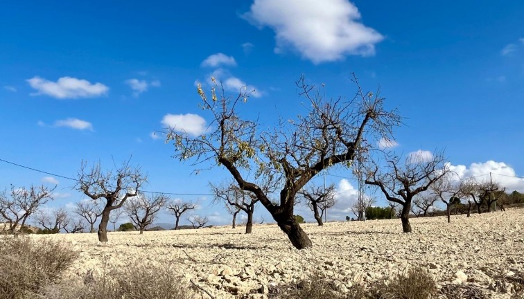 Jälleenmyynti - Tontti - Bullas