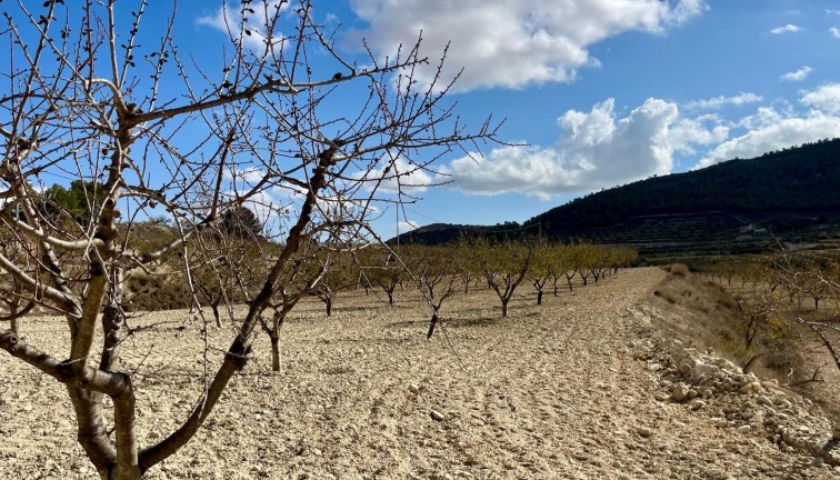 Jälleenmyynti - Tontti - Bullas