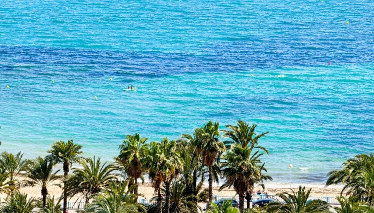 Resale - Apartment - Torrevieja