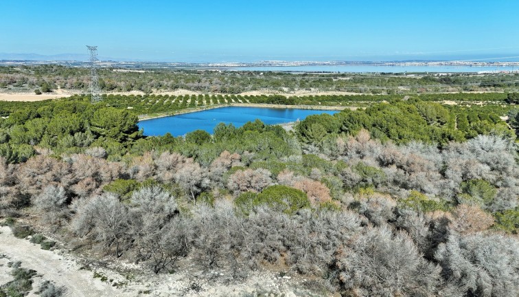 Resale - Chalet - Villamartín