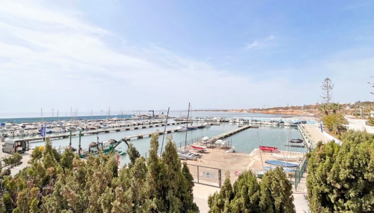 New Build - Bungalow - Pilar de la Horadada - TORRE DE LA HORADADA