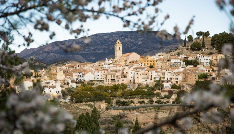 New Build - Chalet - Polop - Polop Hills