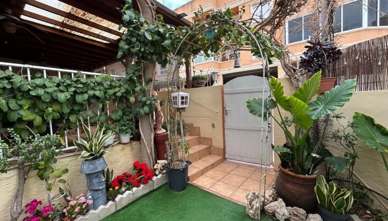 Resale - Chalet - Los Montesinos - LOS MONTESINOS