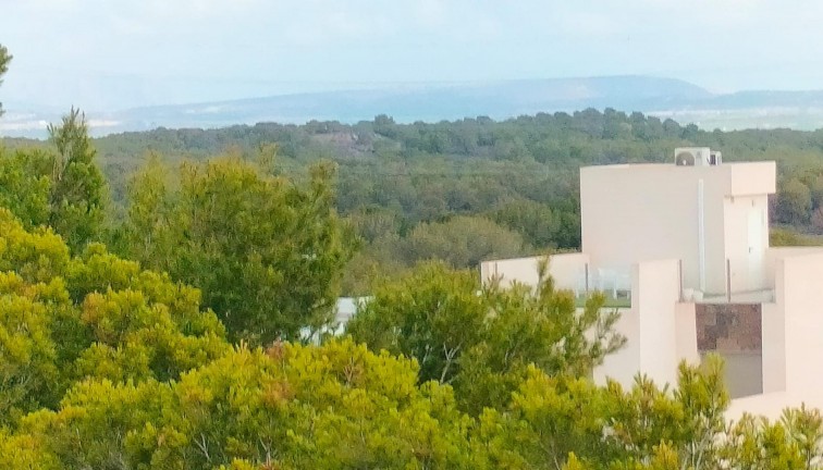 New Build - Semi-Detached - Orihuela Costa - Villamartín