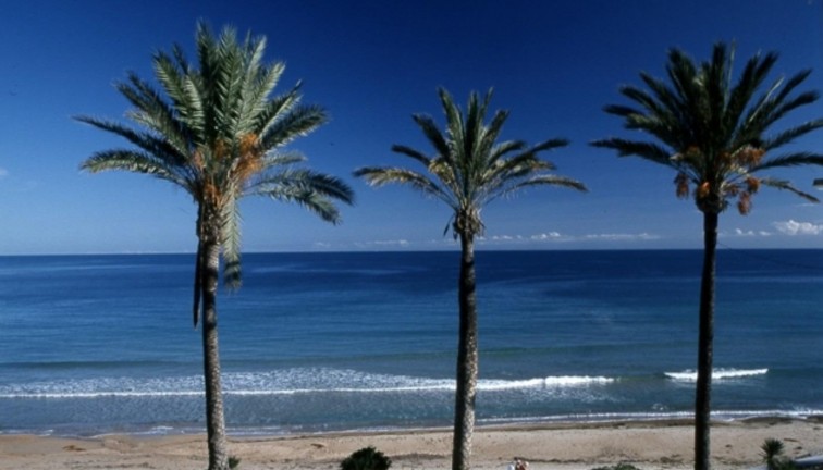 Obra nueva - Bungalow - Pilar de la Horadada