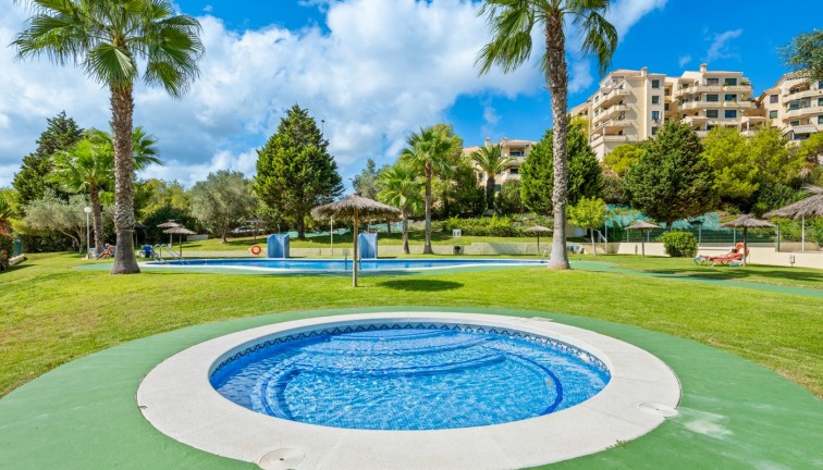 Resale - Apartment - Campoamor