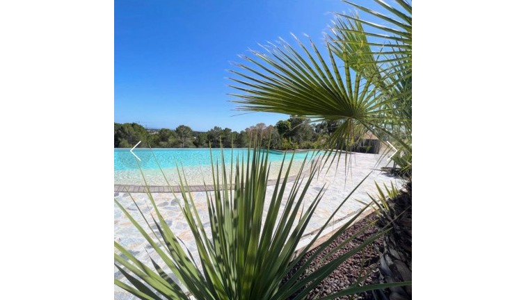 Resale - Apartment - Las Colinas