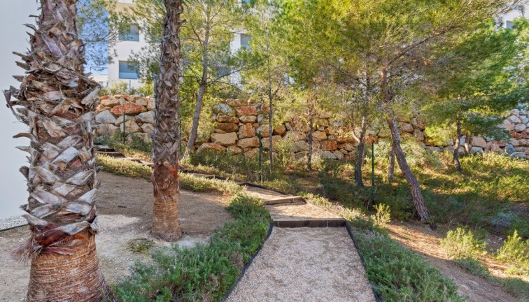 Jälleenmyynti - Erillistalo - Las Colinas