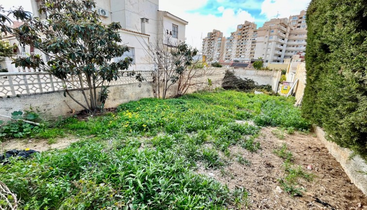 Återförsäljning - Tomt - Torrevieja - Nueva Torrevieja