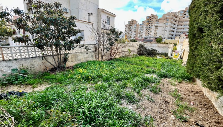 Återförsäljning - Tomt - Torrevieja - Nueva Torrevieja