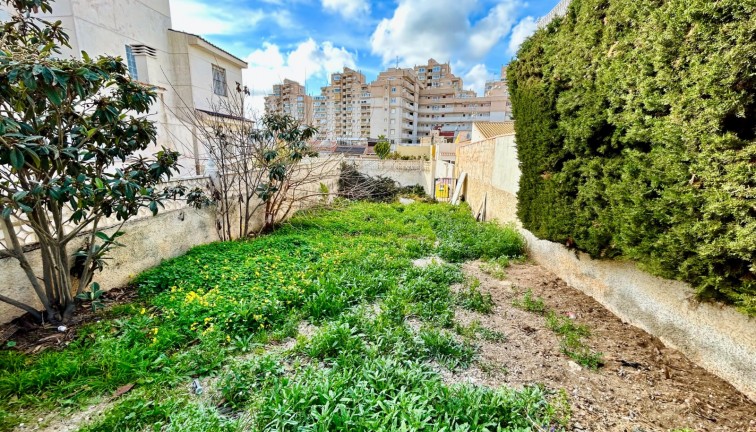 Återförsäljning - Tomt - Torrevieja - Nueva Torrevieja