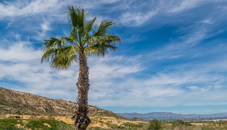 Resale - Apartment - Algorfa