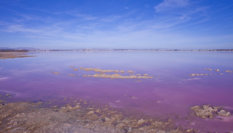 Återförsäljning - Fristående hus - Los Altos