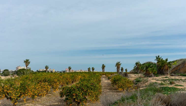 Återförsäljning - Fristående hus - Los Altos