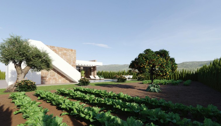 New Build - Chalet - Murcia - Fuente Alamo de Murcia