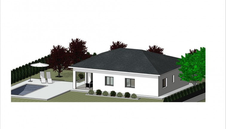 Obra nueva - Chalet - La Romana