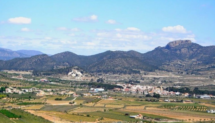 Uudistuotanto - Erillistalo - La Romana