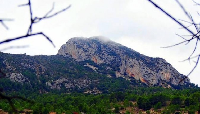 Uudistuotanto - Erillistalo - La Romana