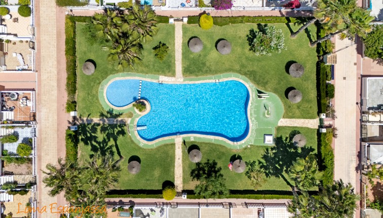 Reventa - Casa adosada - Orihuela Costa - Playa Flamenca