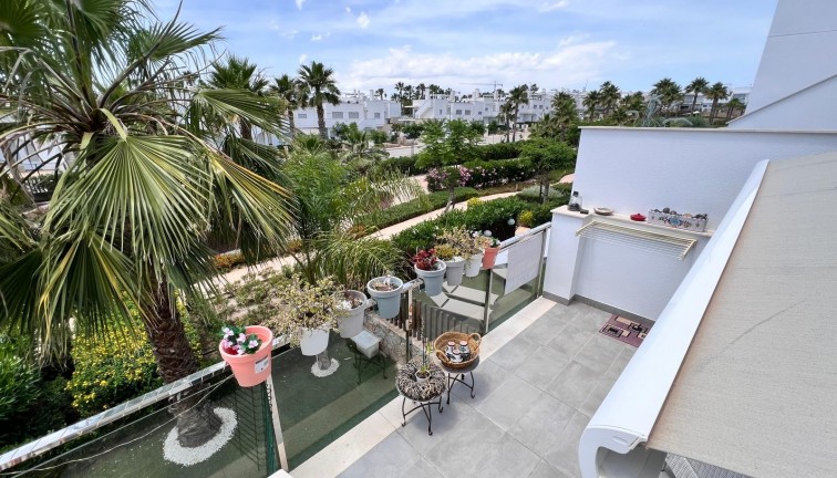 Reventa - Apartamento / piso - Entre Naranjos - Vistabella Golf