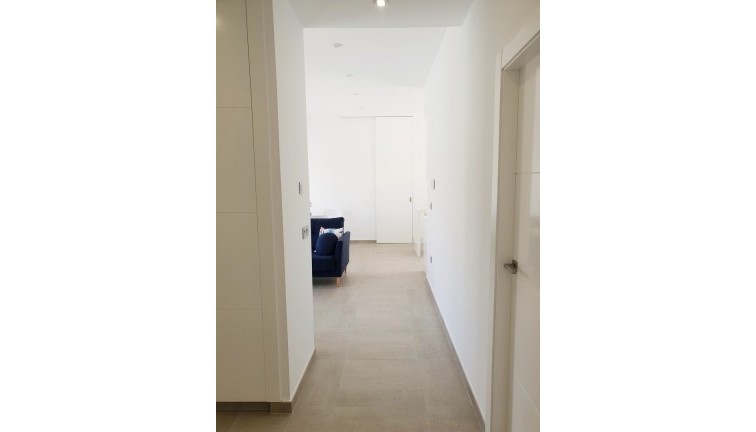 Obra nueva - Chalet - Pilar de la Horadada - Pinar de Campoverde