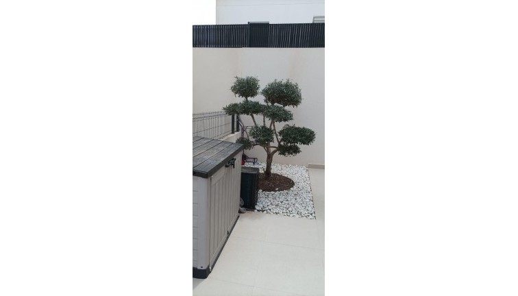 Resale - Chalet - Algorfa