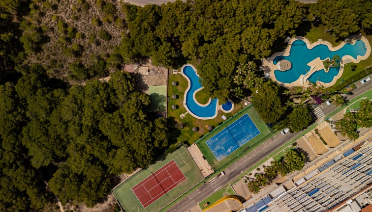 Resale - Apartment - Campoamor