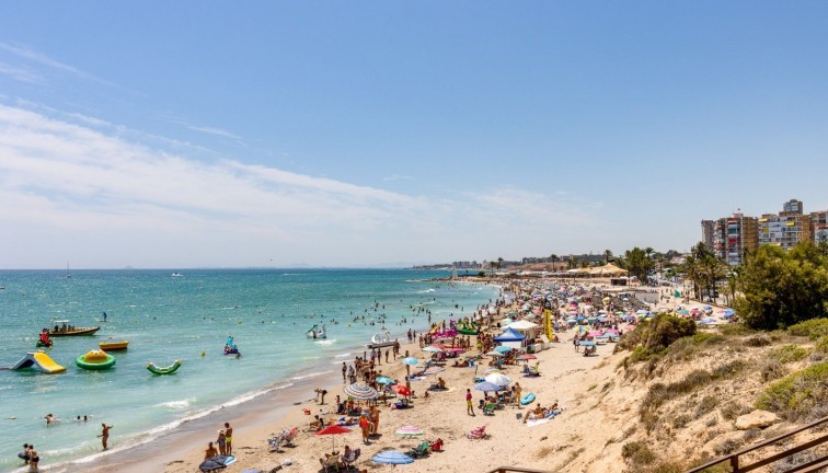 Resale - Apartment - Campoamor