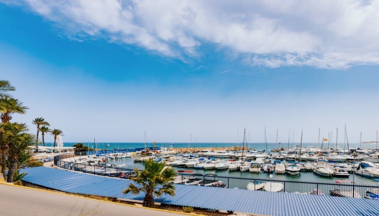 Resale - Apartment - Campoamor