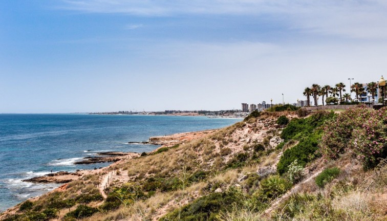 Resale - Apartment - Campoamor