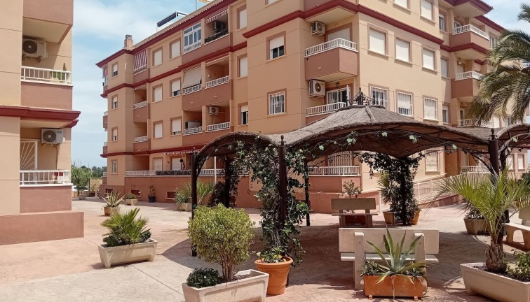 Reventa - Apartamento / piso - Algorfa