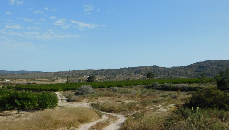 Jälleenmyynti - Tontti - Torremendo