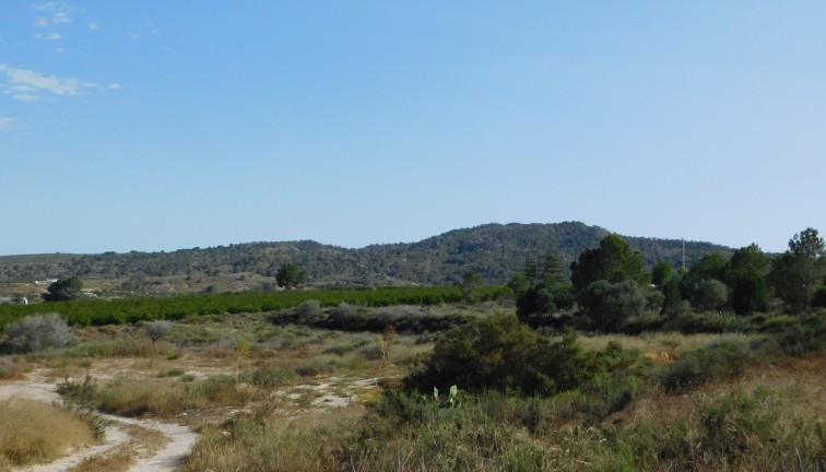 Jälleenmyynti - Tontti - Torremendo