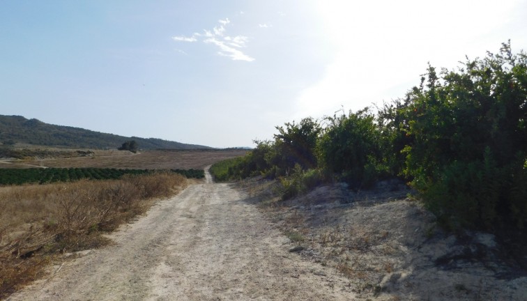 Jälleenmyynti - Tontti - Torremendo