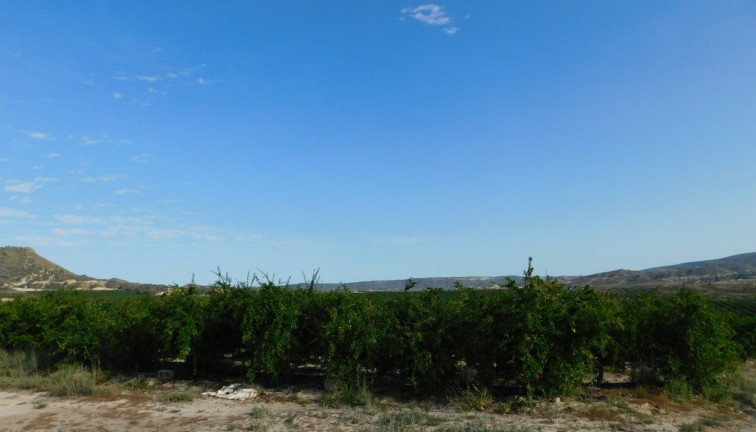 Jälleenmyynti - Tontti - Torremendo