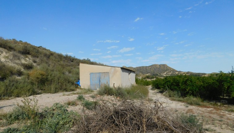 Jälleenmyynti - Tontti - Torremendo