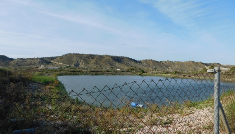 Resale - Plot - Torremendo