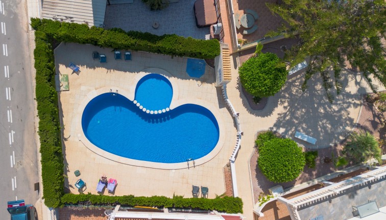 Reventa - Chalet - Torrevieja - Los Frutales