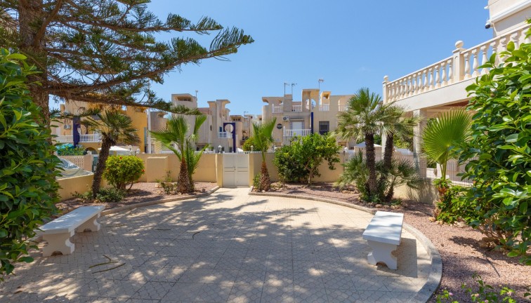 Reventa - Chalet - Torrevieja - Los Frutales