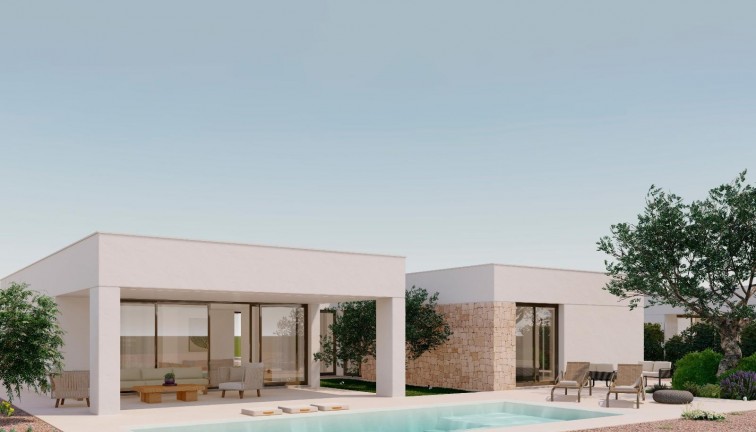 New Build - Chalet - Murcia - Fuente Alamo de Murcia