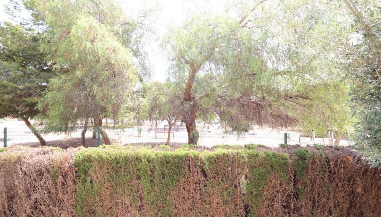 Reventa - Bungalow - Orihuela Costa - Punta Prima